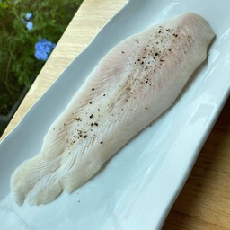 ปลาดอลลี่