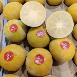 พรับสายพันธุ์เกาหลี size L นน.5-6 กก.