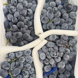 องุ่นไร้เมล็ดดำจักรพรรดิ์ 3.5-4กก./ตระกร้า