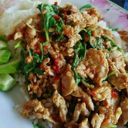 กระเพราหมูชิ้น