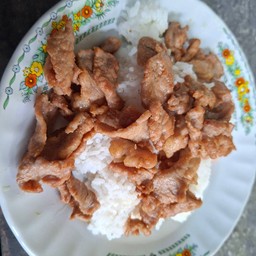 หมูเนื้อแดงทอนน้ำปลาราดข้าว