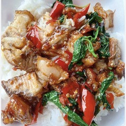 กระเพราหมูกรอบ+ไข่ดาว(ราดข้าว)