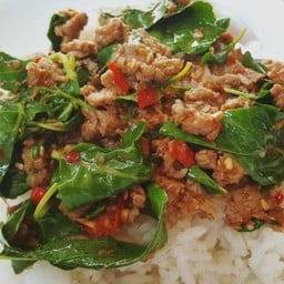 กระเพราไก่