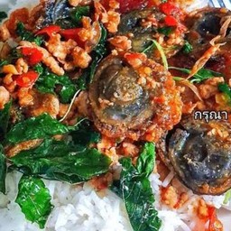 กระเพราหมูสับไข่เยี่ยวม้าราดข้าว