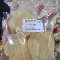 แมงกะพรุนหัวกระสุน