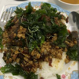 กะเพราเฮ้าส์ หนองตำลึง