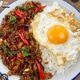 กะเพราจับกัง แมว-ทิว สำเพ็งกลางคืน