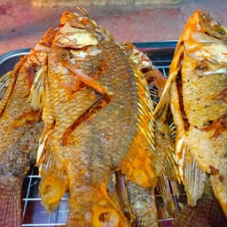 ปลานิลทอด