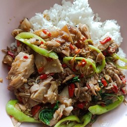 กะเพราขาหมู (ราดข้าว)