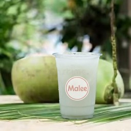 น้ำมะพร้าวสดปั่น (Fresh Coconut Smoothie)