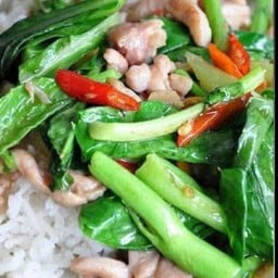 ผัดคะน้าไก่สับราดข้าว