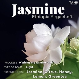 ET Yirgacheft Jasmine - Light