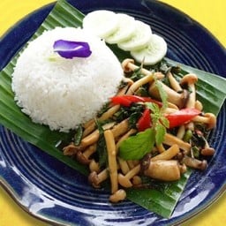 ข้าวราดผัดกะเพราเห็ดรวม (เจ)