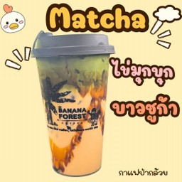 matcha บาวชูก้า