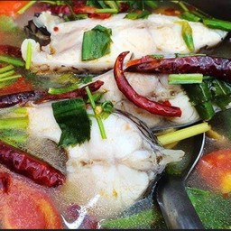 ต้มยำปลาช่อน