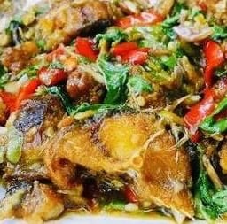 ข้าวกะเพราปลาดุกทอด🐟(เมนูแนะนำหาทานยาก🔥)