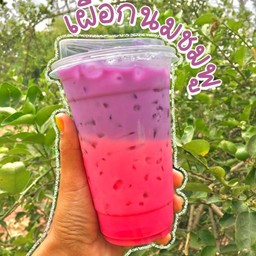 นมชมพูเผือกทูโทน