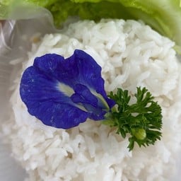 ข้าวหอมมะลิ