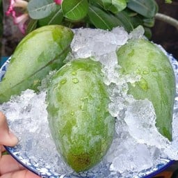 อ.มหารวย ยำมะม่วงปลากรอบ&ผลไม้สด CJ Mall