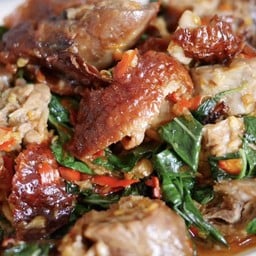 ข้าวเป็ดย่างผัดพริกใบโหระพา🦆