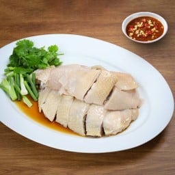 ไก่คัมปอง (Size M)