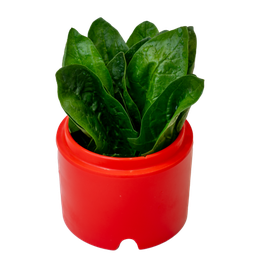 MENU_2932791Nl_1760509739