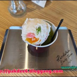 สั่ง 2 scoops ร้อยกว่าบาท