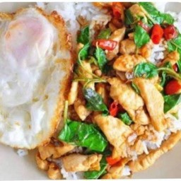 ข้าวกะเพราไก่ไข่ดาว