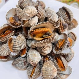 หอยแครง