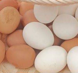 ไข่ต้ม 1ฟองไข่เป็ด