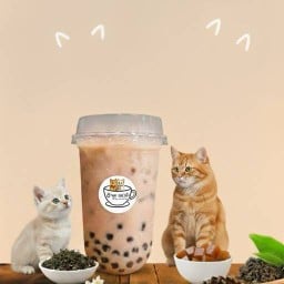 ชานม แมวซ่า (หอพักเพ็ญเพชรโฮม) ห้อง5