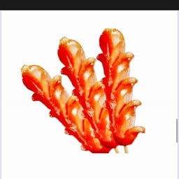 ไส้กรอก