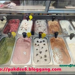 ไอศกรีมหลากหลายรส