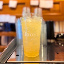 น้ำผึ้งมะนาวเย็น