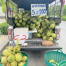 มะพร้าวน้ำหอมบ้านแผ้ว 5ลูก100฿
