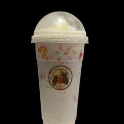 แมวปั่นนม หมู่บ้านแก่นทองธานี 1 ซ.3