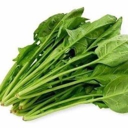 19.ป๊วยเล็ง