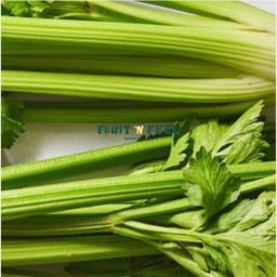 Pure Celery