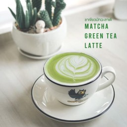 มัทฉะพรีเมี่ยมร้อนTakeaway