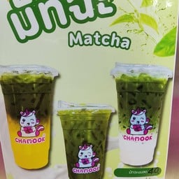 CHAMOOK ปตท.วังสารภี