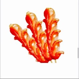 ไส้กรอกทอด 1 ไม้