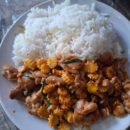 ผัดพริกแกงไก่ราดข้าว