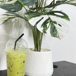 ชาเขียวเย็น