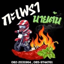 กะเพรานายต้น