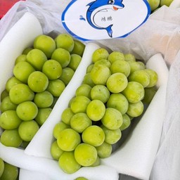 องุ่นไซมัส