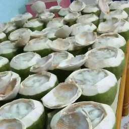 มะพร้าวน้ำหอม บ้านแพ้วแท้ 💯 by โกขัวญ เพชรบุรี ซ.8