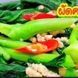ผัดคะน้าน้ำมันหอยเจ+ข้าว