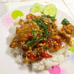 ข้าวราดกระเพราไก่