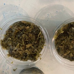 กานาฉ่าย-เจ