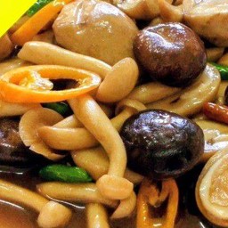 ผัดเห็ดน้ำมันหอยเจ+ข้าว